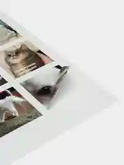 Белый наклейки "Котики и мемы", 12-36 штук