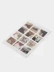 Багровый наклейки "Котики и мемы", 12-36 штук