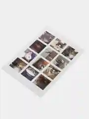 Бронзовый наклейки "Котики и мемы", 12-36 штук