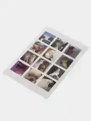 Вишнёвый наклейки "Котики и мемы", 12-36 штук