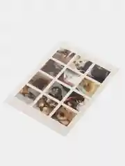 Бордовый наклейки "Котики и мемы", 12-36 штук