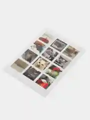 Бежевый меланж наклейки "Котики и мемы", 12-36 штук