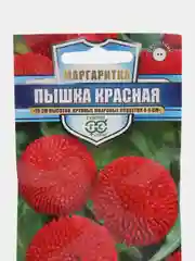 Маргаритка "Пышка красная", семена, цветы