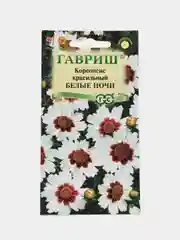 Кореопсис Белые ночи (семена,цветы)