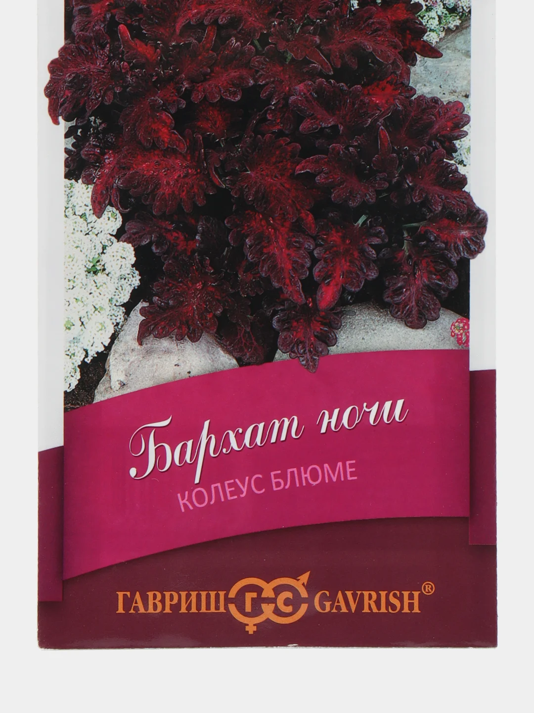 Колеус "Бархат ночи", семена, цветы
