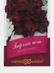 Колеус "Бархат ночи", семена, цветы