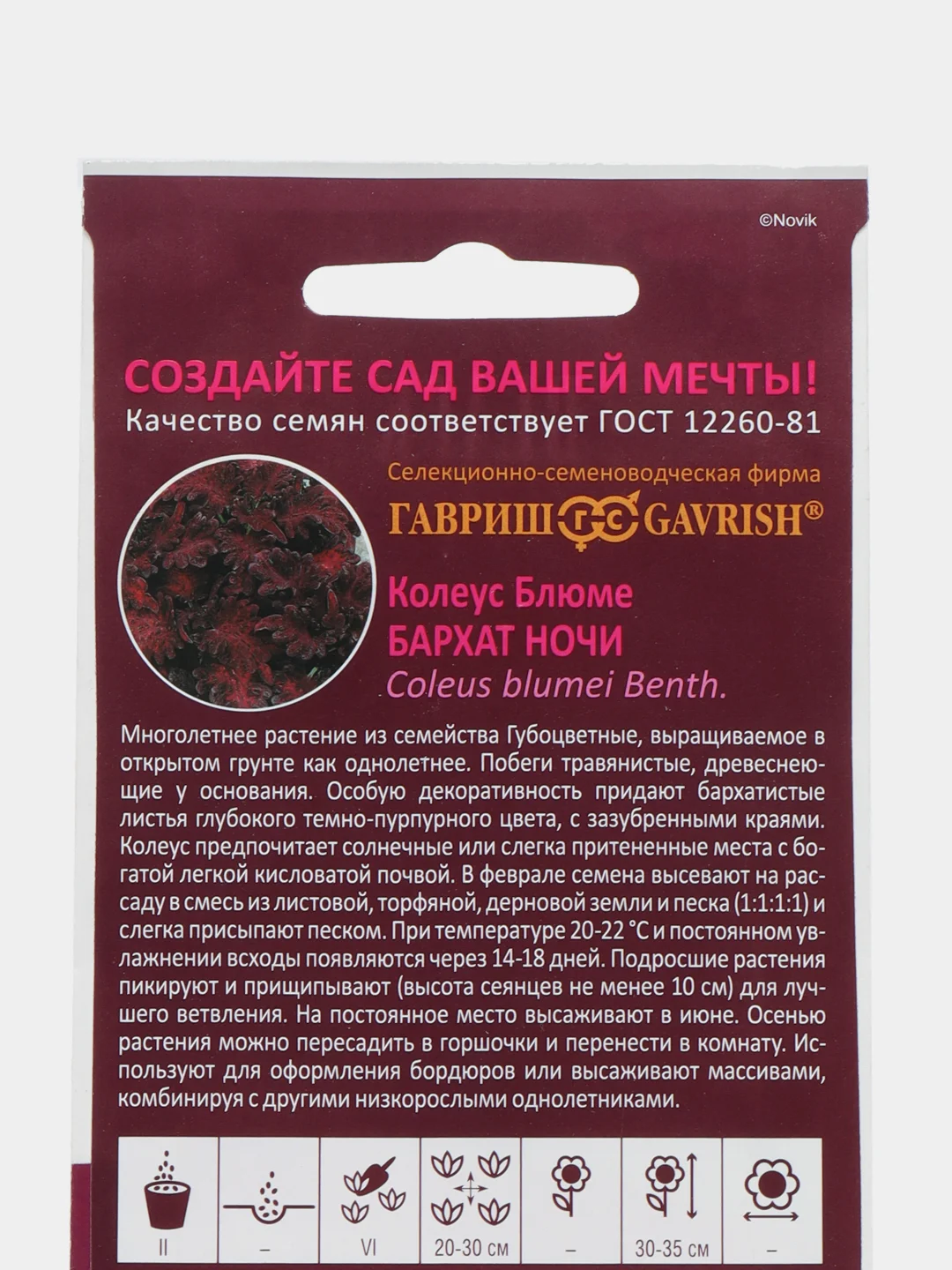 Колеус "Бархат ночи", семена, цветы