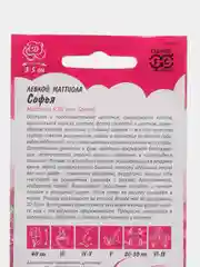 Левкой "Софья", семена, цветы