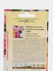 Левизия, льюизия, "Элис", семена, цветы