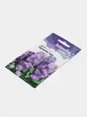 Левкой Украшение сада (семена,цветы)