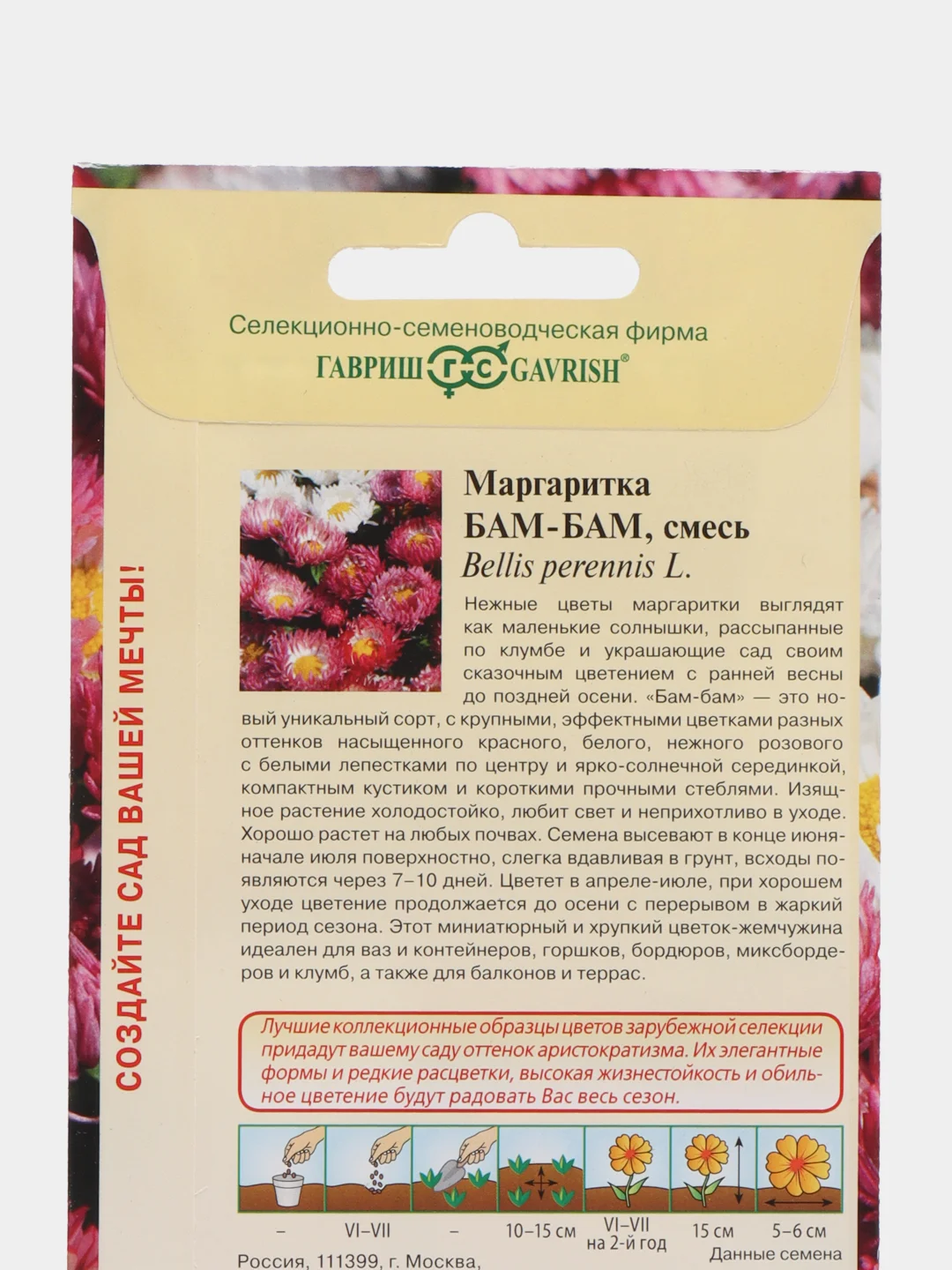 Маргаритка "Бам бам", семена, цветы