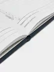Дневник 1-11 класс 48л, кожзам (твердая), шелкография, BRAUBERG, ГРАФИТИ, 105990