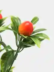 Оранжевый искусственные цветы "Ягодки"