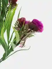 Фиолетовый искусственные цветы осока, трава, зелень с розочками, камелиями