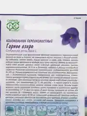 Колокольчик "Горное озеро", семена, цветы