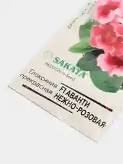Глоксиния "Аванти нежно розовая" (семена, цветы)