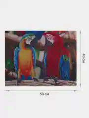 Алмазная мозаика картина вышивка из страз 40*50 см, ОСТРОВ СОКРОВИЩ "Попугаи", 662413