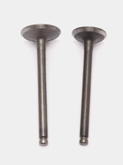 Клапаны Альфа 72-110, Динго T125, TTR125 (D20/23 x h65/66 мм)