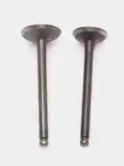 Клапаны Альфа 72-110, Динго T125, TTR125 (D20/23 x h65/66 мм)