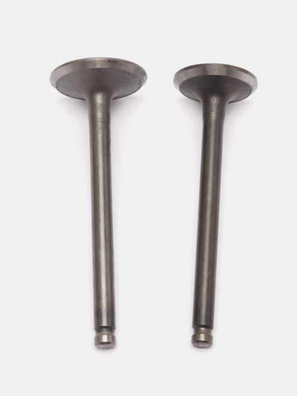 Клапаны Альфа 72-110, Динго T125, TTR125 (D20/23 x h65/66 мм)