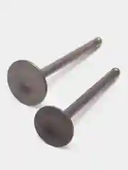 Клапаны Альфа 72-110, Динго T125, TTR125 (D20/23 x h65/66 мм)