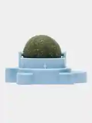Голубой кошачья мята, сухая