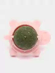 Зеленый кошачья мята, сухая