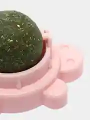 Зеленый кошачья мята, сухая