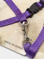 Фиолетовый шлейка с поводком прогулочная для кошек