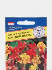 Семена цветов Канна "Большие цветы"