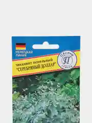 Семена цветов Эвкалипт "Серебряный доллар"