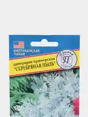 Семена Цинерария "Серебряная пыль"