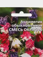 Аквилегия обыкновенная Смесь окрасок (семена, цветы)