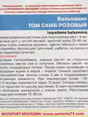 Бальзамин Том Самб Розовый (семена,цветы)