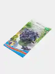 Базилик Гранатовый Шар (семена)