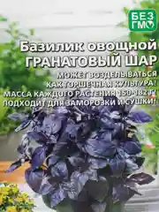 Базилик Гранатовый Шар (семена)