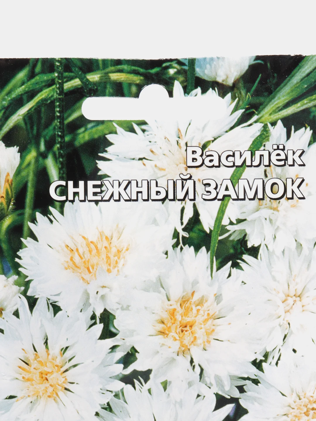 Василёк Снежный замок, семена, цветы