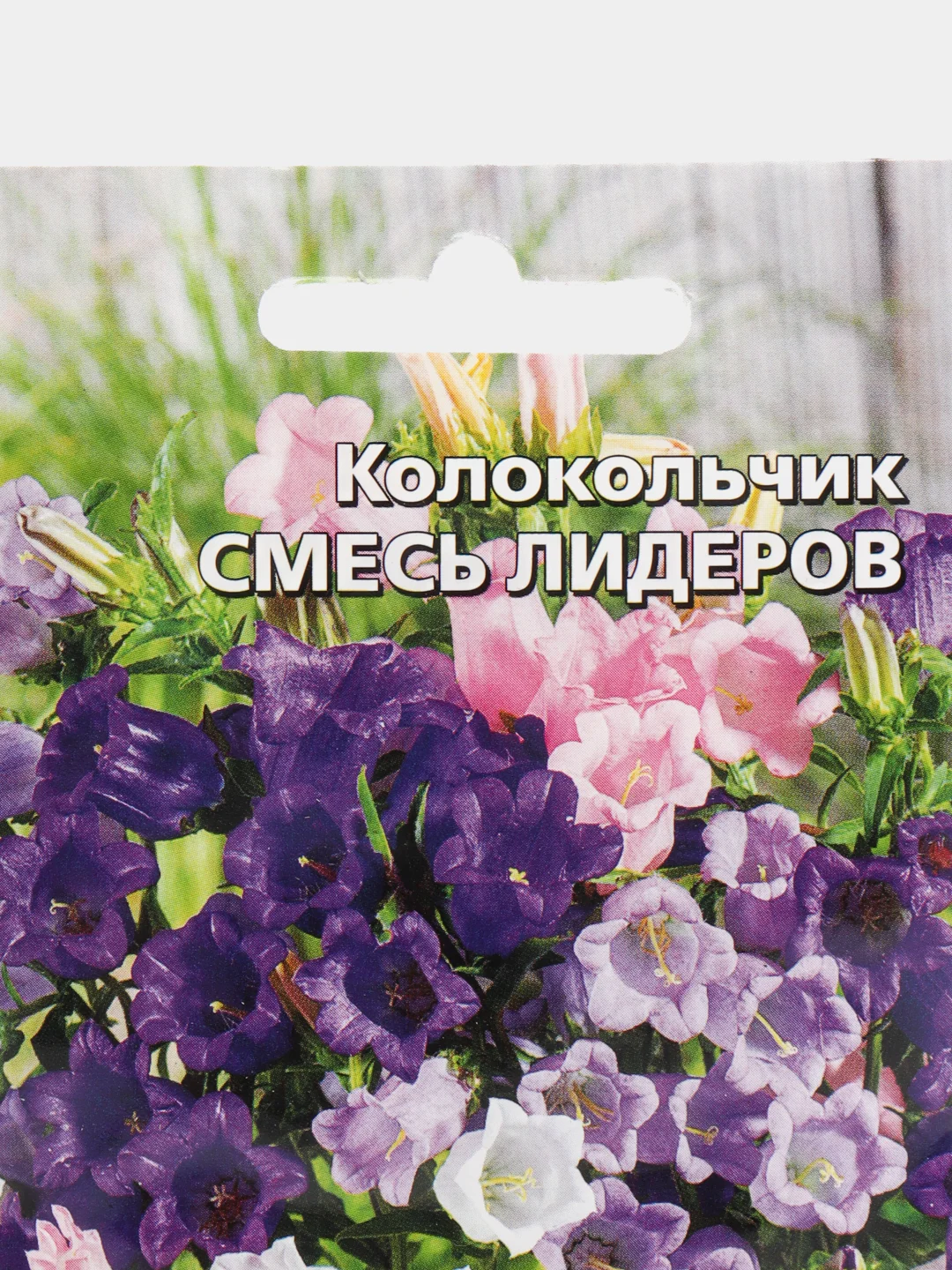 Колокольчик Смесь лидеров, семена, цветы