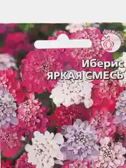 Иберис Яркая смесь, семена, цветы