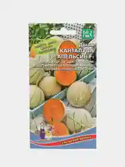 Дыня канталупа Апельсин (семена)