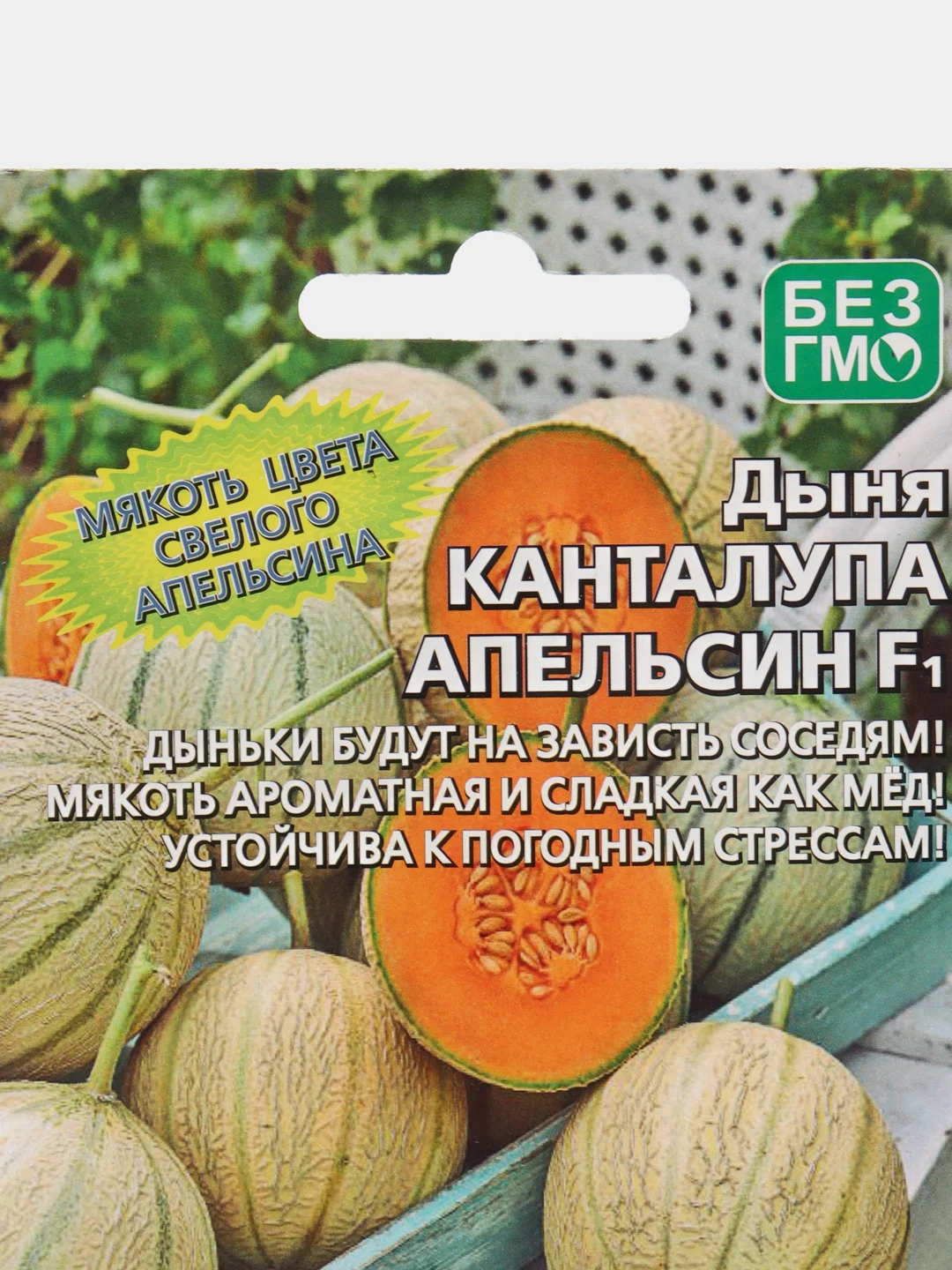 Дыня канталупа Апельсин (семена)