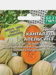 Дыня канталупа Апельсин (семена)