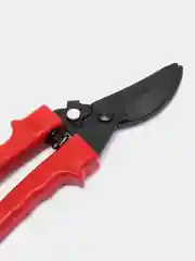 Красный секатор садовый