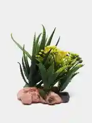 Пастельно-коралловый растение искусственное декоративное "Цветы", декорации для аквариума, 61 вид
