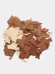 Карта мира из дерева, 110 х 65 см