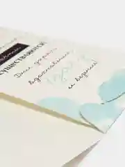 Ледяной праздничные конверты для денег