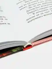Юрий Олеша: Три Толстяка