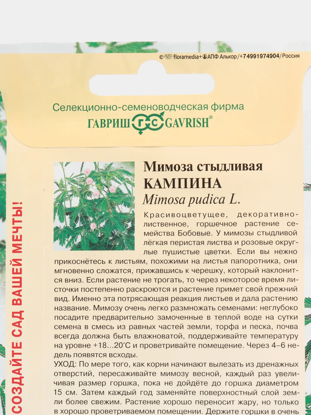 Семена Мимоза стыдливая "Кампина"