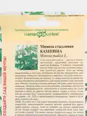 Семена Мимоза стыдливая "Кампина"