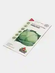 Семена капуста белокочанная "Июньская"